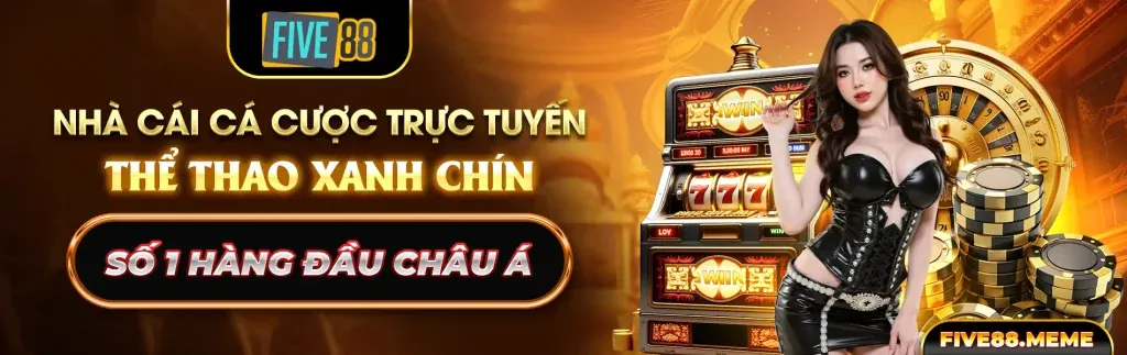 Các câu hỏi thường gặp về fvip88